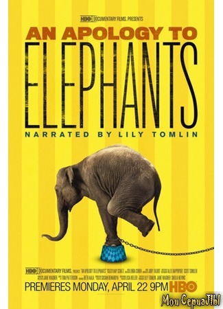 кино В защиту слонов (An Apology to Elephants) 17.05.20