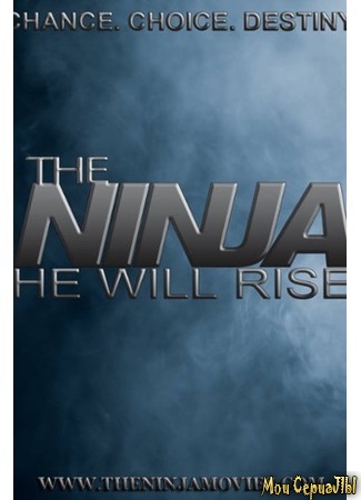кино Ниндзя: Шаг в неизвестность (The Ninja He Will Rise) 17.05.20