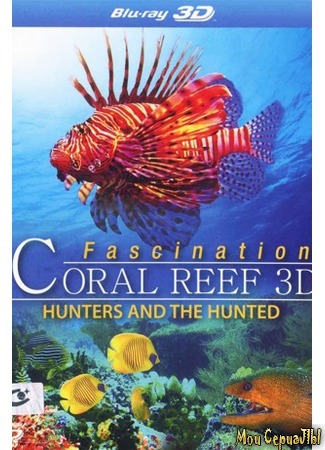 кино Коралловый риф: Охотники и жертвы (Fascination Coral Reef 3D: Hunters &amp; the Hunted) 17.05.20