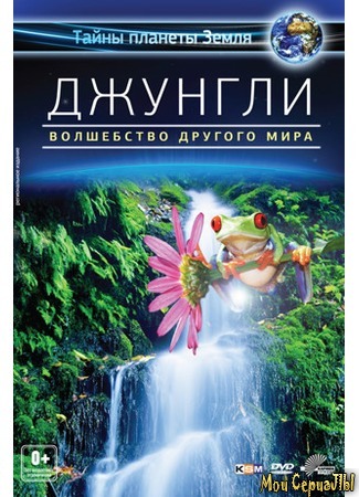 кино Джунгли 3D: Волшебство другого мира (Der Dschungel) 17.05.20