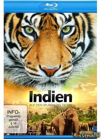кино Индия 3D: По следам тигра (India 3D: On The Trail Of The Tiger) 17.05.20