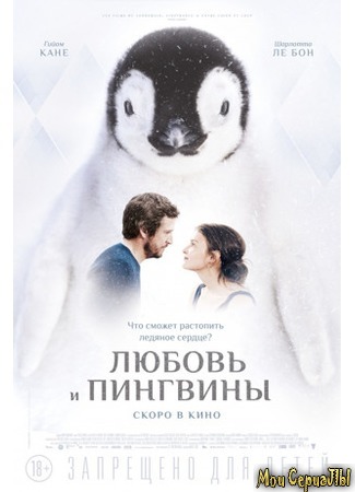 кино Любовь и пингвины (Le secret des banquises) 17.05.20