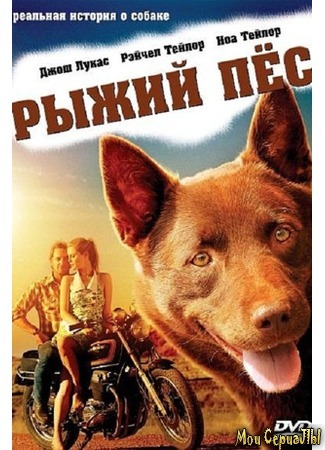 кино Рыжий пес (Red Dog) 17.05.20