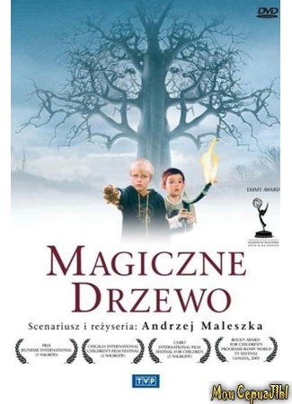 кино Волшебное дерево (Magiczne drzewo) 18.05.20