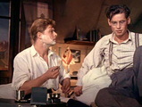 Два капитана (1955)