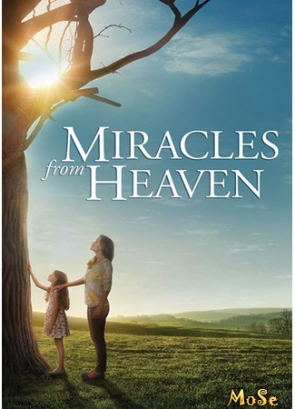 кино Чудеса с небес (Miracles from Heaven) 03.09.20