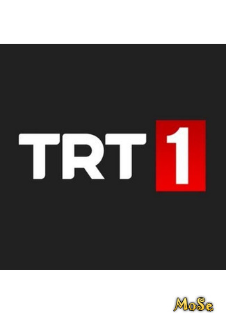 Производитель TRT 1 21.11.20