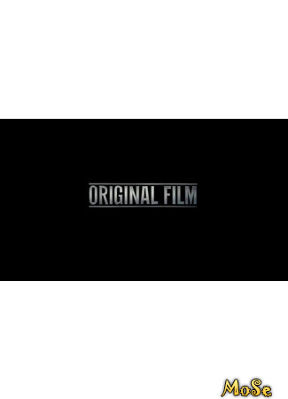 Производитель Original Film 24.11.20