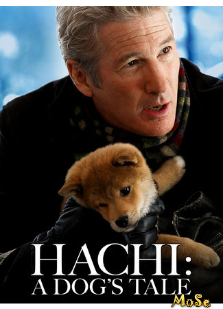 кино Хатико: Самый верный друг (Hachi: A Dog&#39;s Tale) 27.11.20
