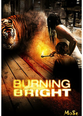 кино Во власти тигра (Burning Bright) 23.12.20