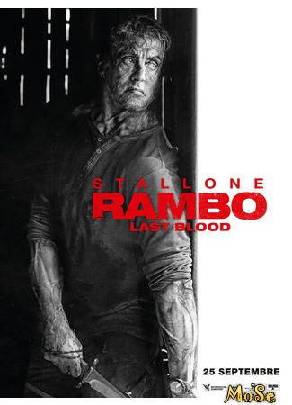 кино Рэмбо: Последняя кровь (Rambo 5: Last Blood) 13.01.21