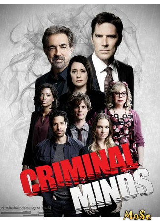 кино Мыслить как преступник, 12-й сезон (Criminal Minds, season 12) 16.01.21