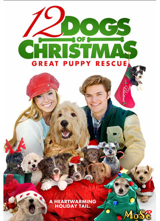 кино 12 рождественских собак 2 (12 Dogs of Christmas: Great Puppy Rescue) 18.01.21