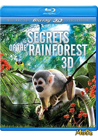 кино Тропический лес 3D (Rainforest 3D) 20.01.21