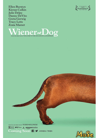 кино Такса (Wiener-Dog) 21.01.21