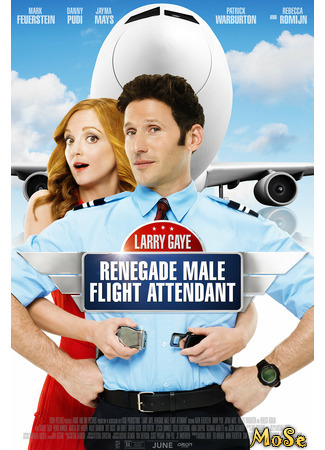 кино Суперстюард (Larry Gaye: Renegade Male Flight Attendant) 22.01.21