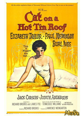 кино Кошка на раскалённой крыше (1958) (Cat on a Hot Tin Roof) 06.03.21