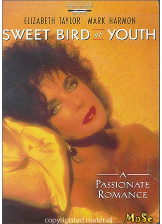кино Сладкоголосая птица юности (1989) (Sweet Bird of Youth) 08.03.21