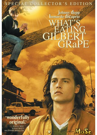кино Что гложет Гилберта Грейпа? (What&#39;s Eating Gilbert Grape) 29.03.21