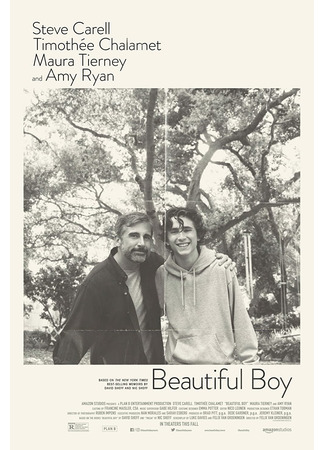 кино Красивый мальчик (Beautiful Boy) 02.05.22