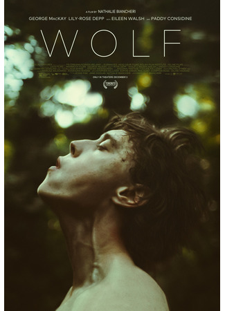 кино Волк (2021) (Wolf) 21.05.22