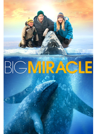 кино Все любят китов (Big Miracle) 13.02.23