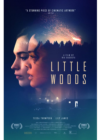 кино Лесок (Little Woods) 29.08.23