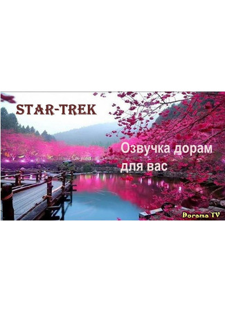 Переводчик STAR-TREK 17.01.24