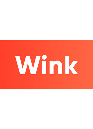 Производитель Wink 31.01.24