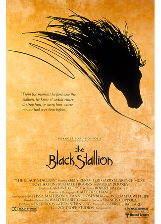 кино Черный скакун (The Black Stallion) 28.02.24