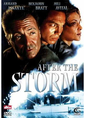 кино После шторма (After the Storm) 29.02.24
