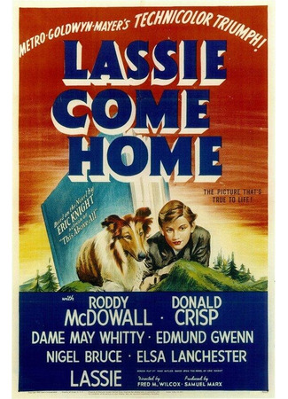 кино Лесси возвращается домой (Lassie Come Home) 29.02.24