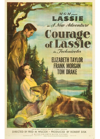 кино Храбрость Лэсси (Courage of Lassie) 29.02.24