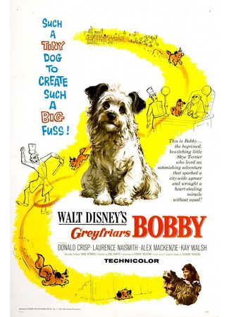 кино Бобби из Грейфраерса: Правдивая история (Greyfriars Bobby: The True Story of a Dog) 29.02.24