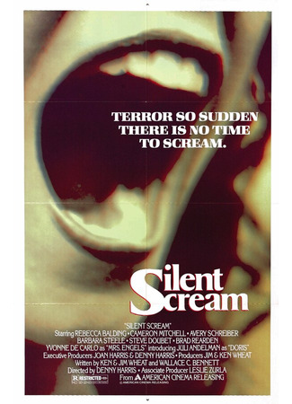 кино Немой крик (The Silent Scream) 29.02.24