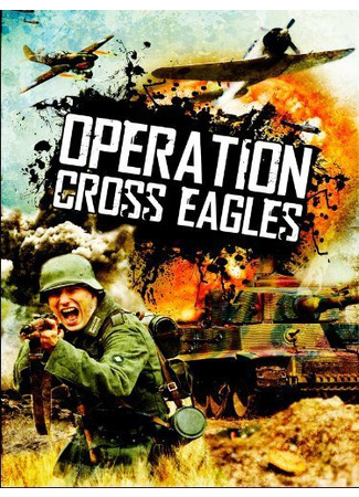 кино Операция «Орлиный крест» (Operation Cross Eagles) 29.02.24