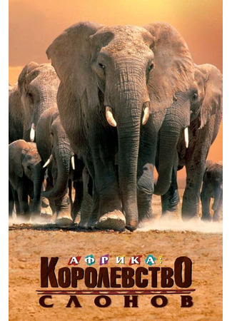 кино Африка — королевство слонов (Africa&#39;s Elephant Kingdom) 01.04.24