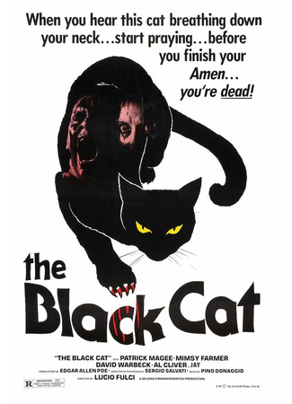 кино Черный кот (Black Cat) 01.04.24