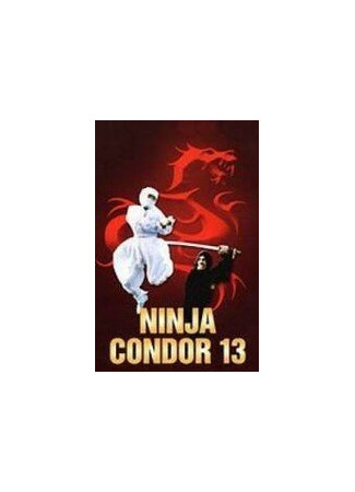 кино Ниндзя-стервятник (Ninjas, Condors 13) 01.04.24