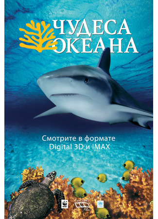 кино Чудеса океана 3D (Ocean Wonderland) 01.04.24