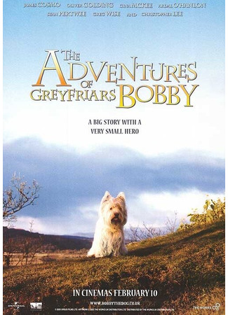 кино Малыш Бобби (The Adventures of Greyfriars Bobby) 01.04.24