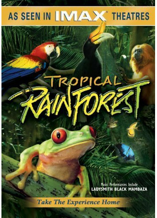 кино Тропический лес (Tropical Rainforest) 01.04.24