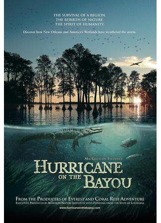 кино Ураган на Байу (Hurricane on the Bayou) 01.04.24
