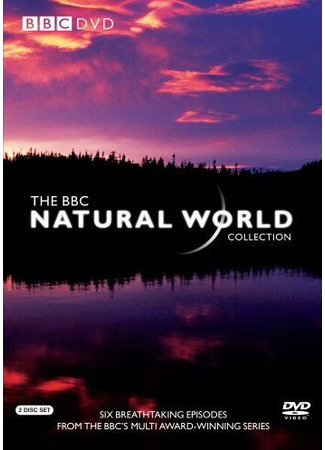 кино BBC: Живой мир (Natural World) 27.04.24