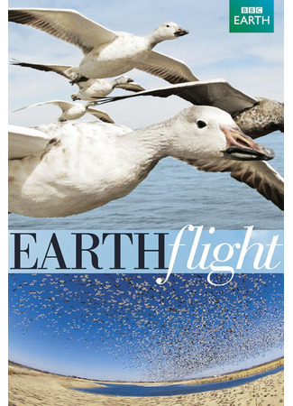 кино BBC: Мир с высоты птичьего полета (Earthflight) 19.05.24