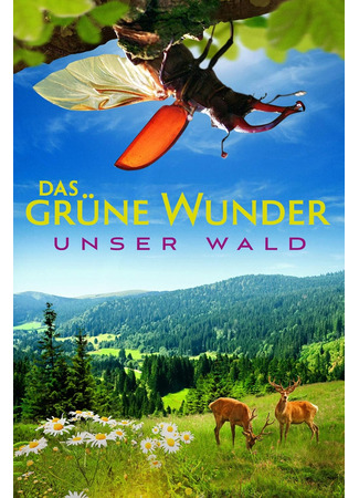 кино Зеленая планета (Das grüne Wunder - Unser Wald) 23.05.24