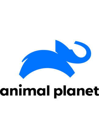 Производитель Animal Planet 11.07.24